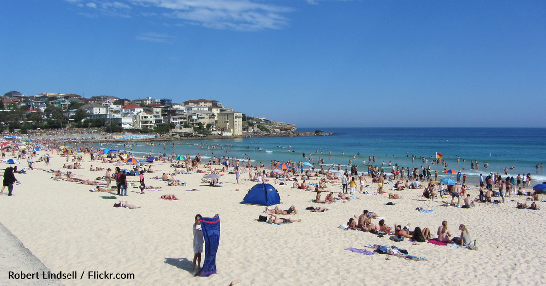 Australian Teen Spends Christmas In The Hospital After Swallowing Bluebottle Fish