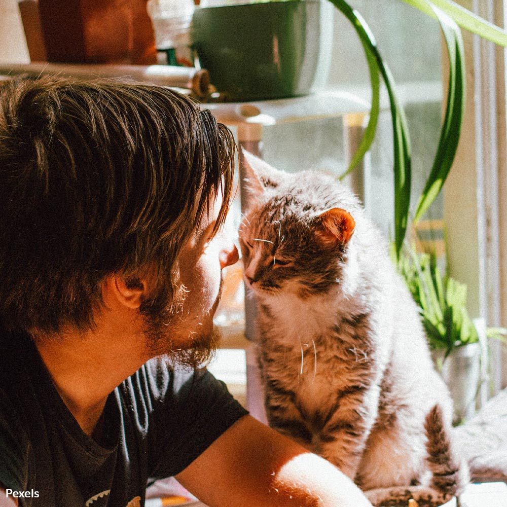 Commit to Pet Safety Around Poisons