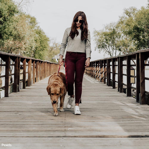 Become a Scooper Hero and Save the World