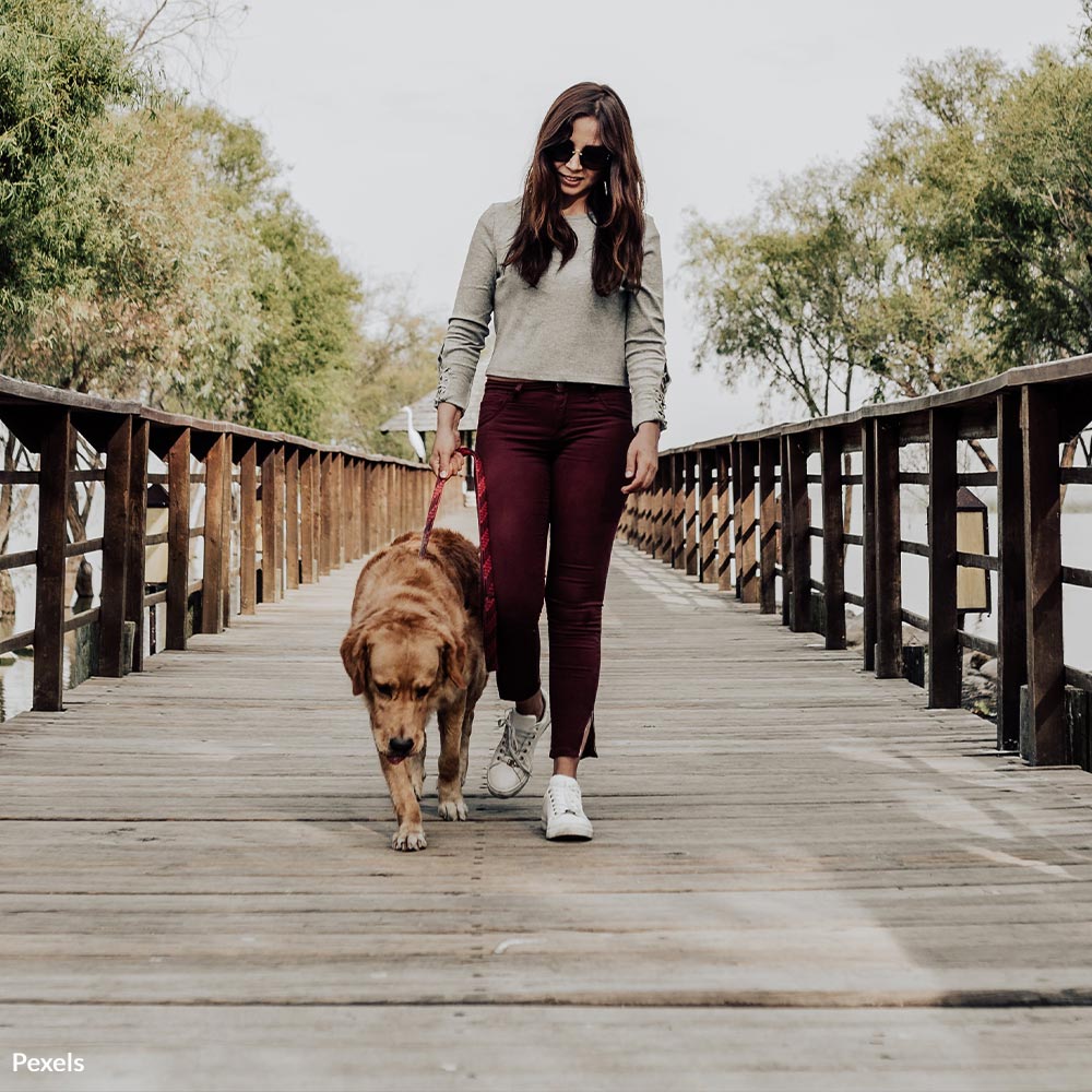 Become a Scooper Hero and Save the World