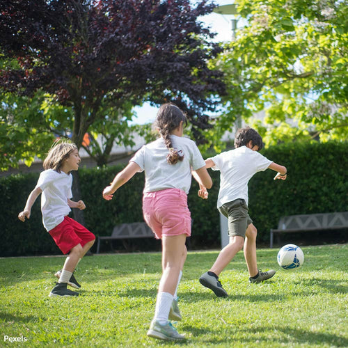 Stop PFAS in Artificial Turf from Poisoning of Our Children
