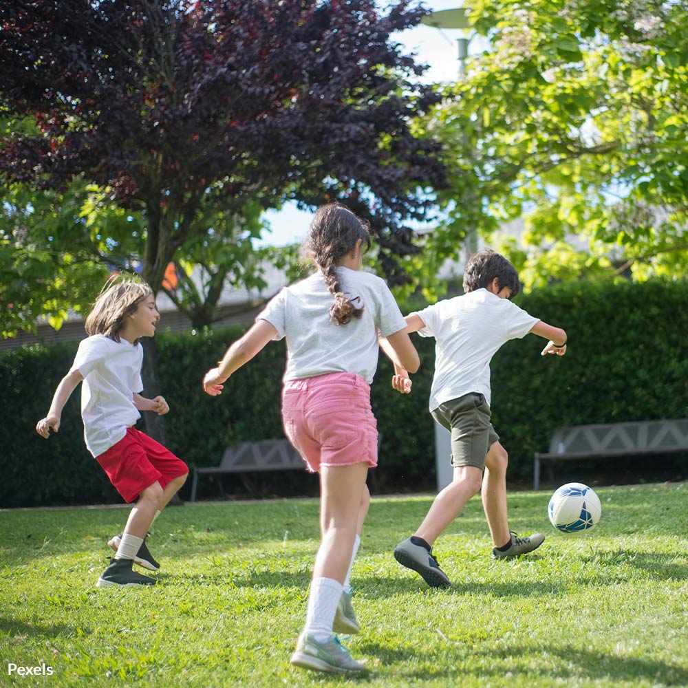Stop PFAS in Artificial Turf from Poisoning of Our Children