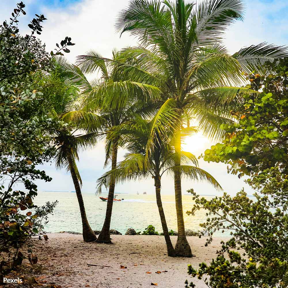 Don’t Let Greedy Developers Pave Over Our Precious Parks