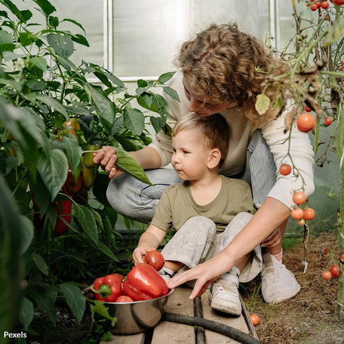 Expose Bayer’s Poisonous Roundup and Protect Human Health