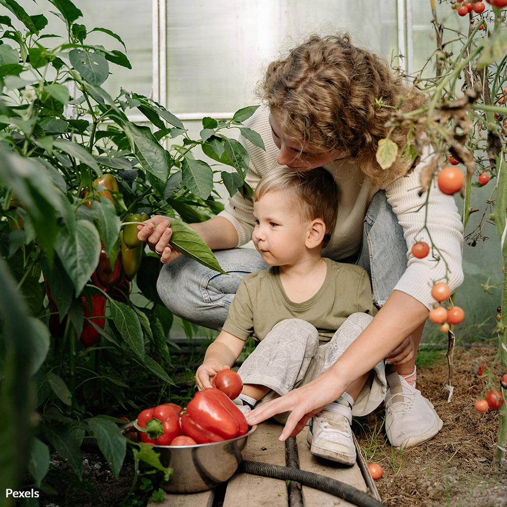 Expose Bayer’s Poisonous Roundup and Protect Human Health