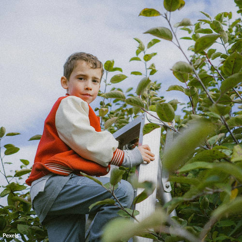 Stop the EPA From Poisoning Our Children and Pollinators