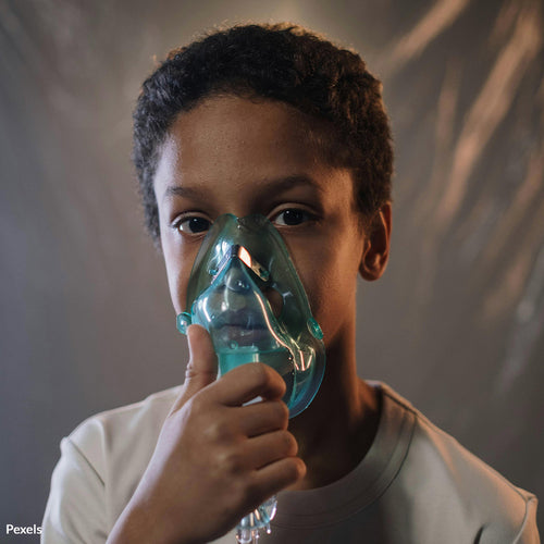 Stop The Toxic Assault On Border Families