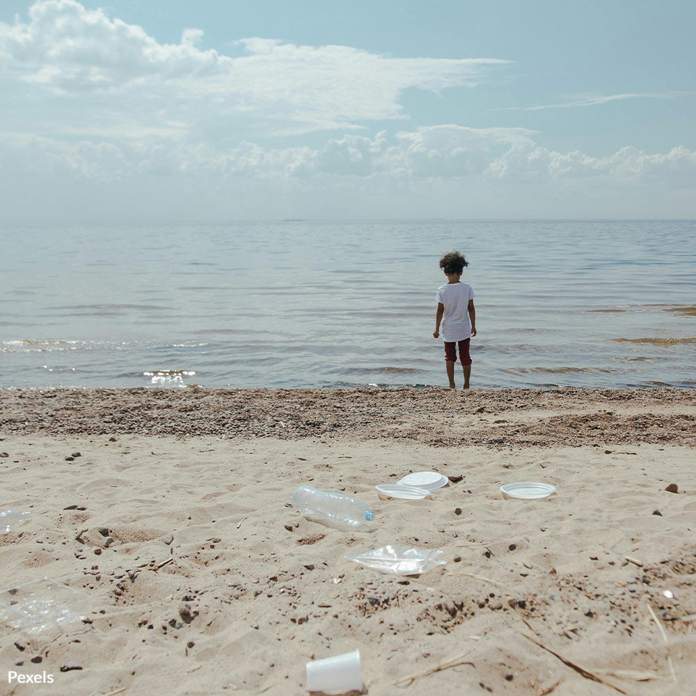 Stop Single-Use Plastic Before Florida’s Wildlife Is Gone Forever