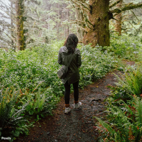 Hold the National Park Service Accountable for Missing Americans