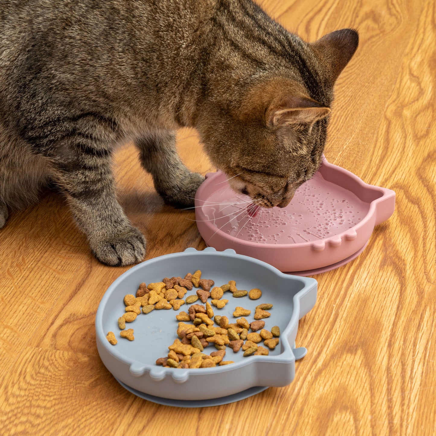 Silicone Cat Dish