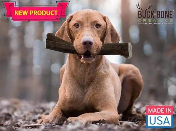 Buck Bone® Naturally Shed Elk Antler Dog Chew