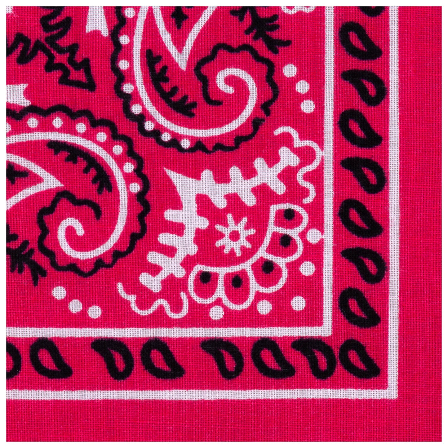 Pop of Color Classic Bandana