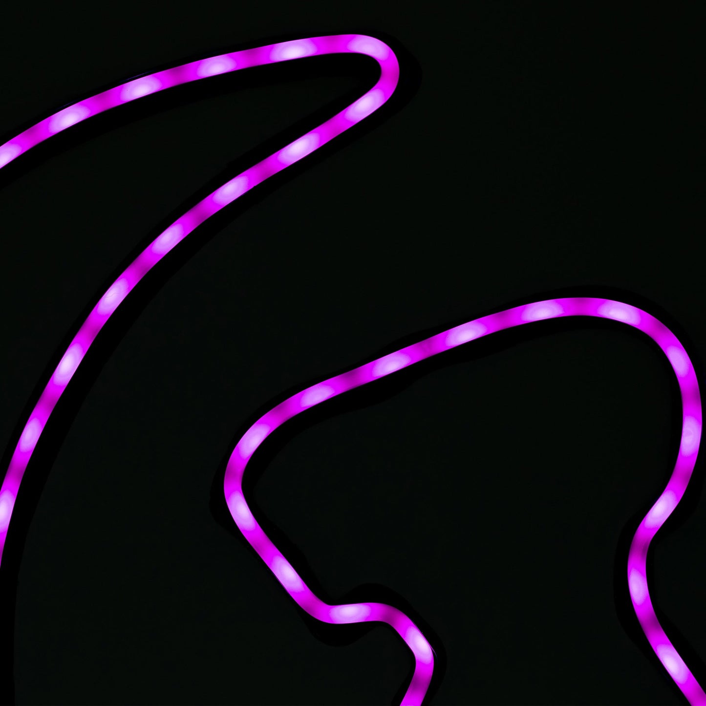 Neon Pets Solar Garden Stake