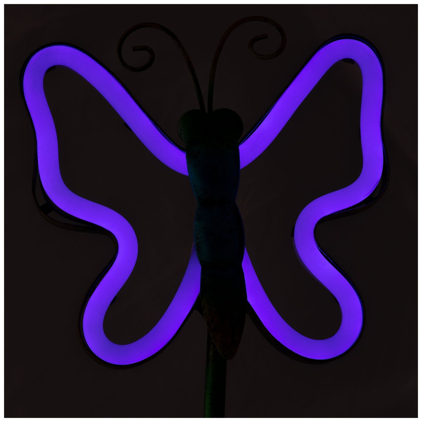 Neon Fluttering Friends Solar Light