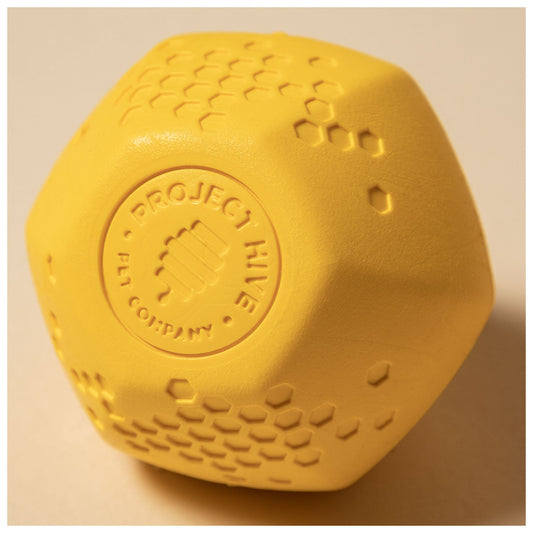 Project Hive™ Hive Ball Dog Toy