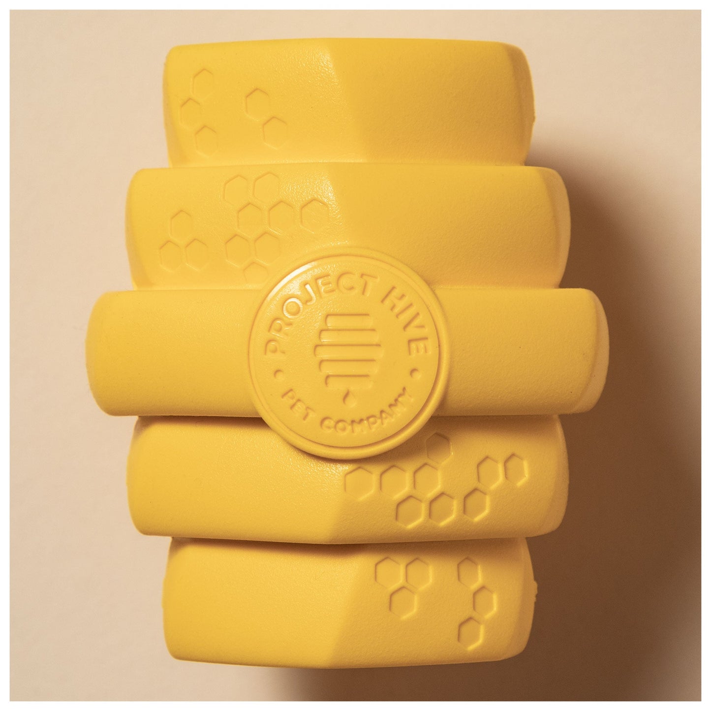 Project Hive™ Hive Dog Chew Toy
