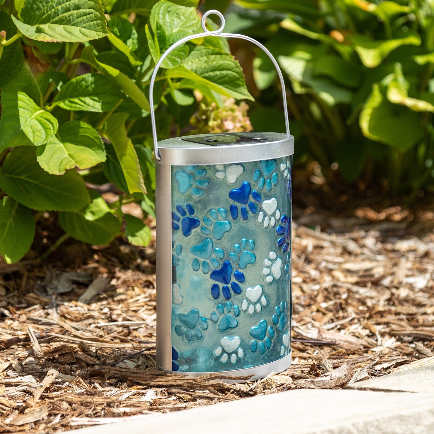 Blue Paws Solar Lantern