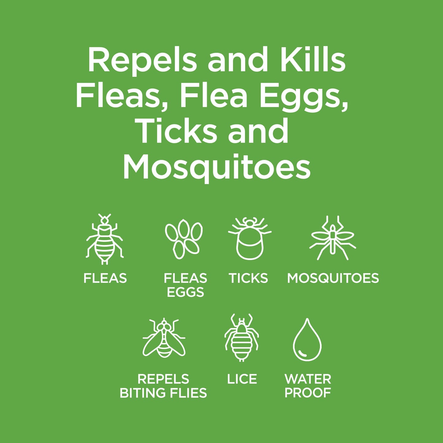 Vetality™ Avantect II for Dogs