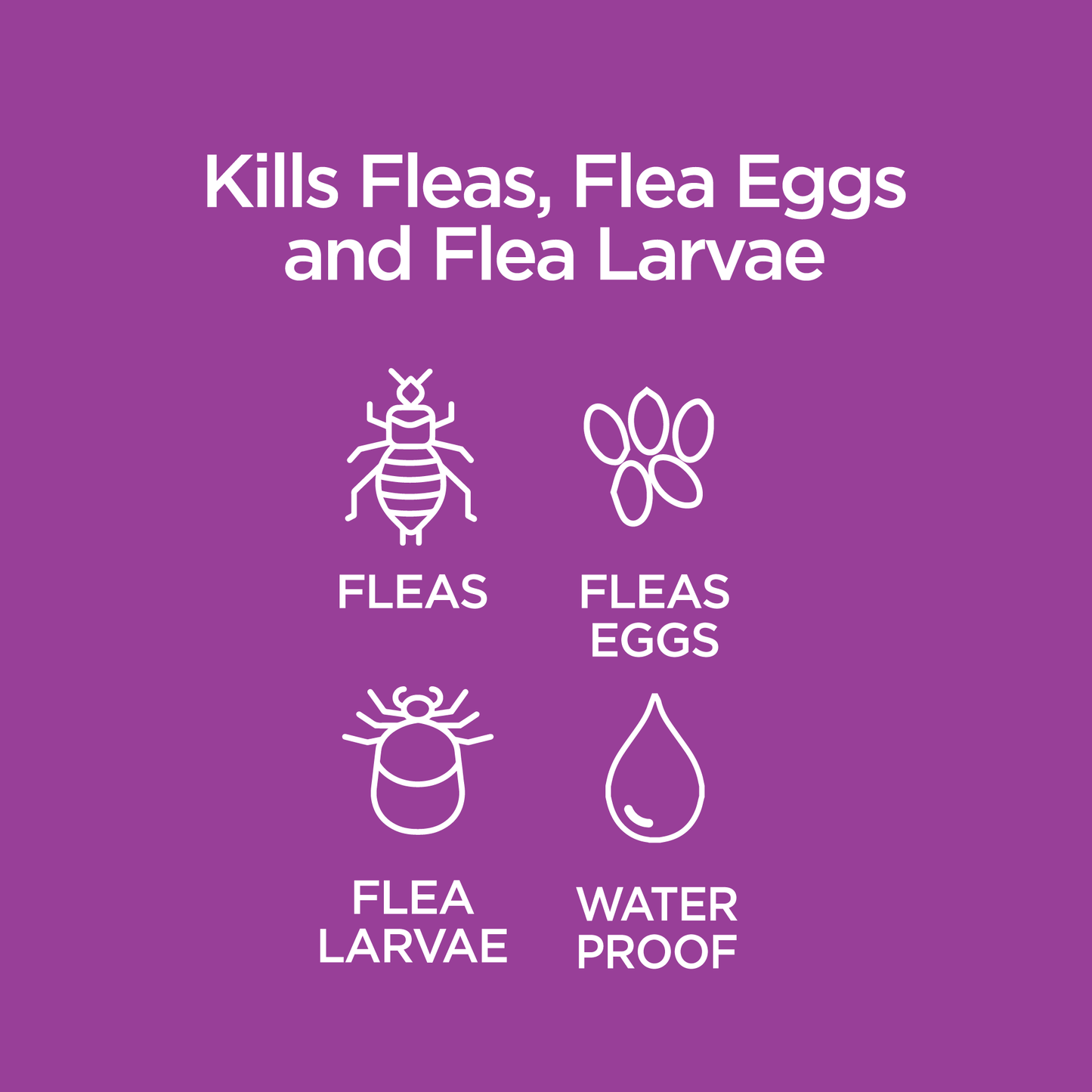 Vetality™ Avantect II for Cats