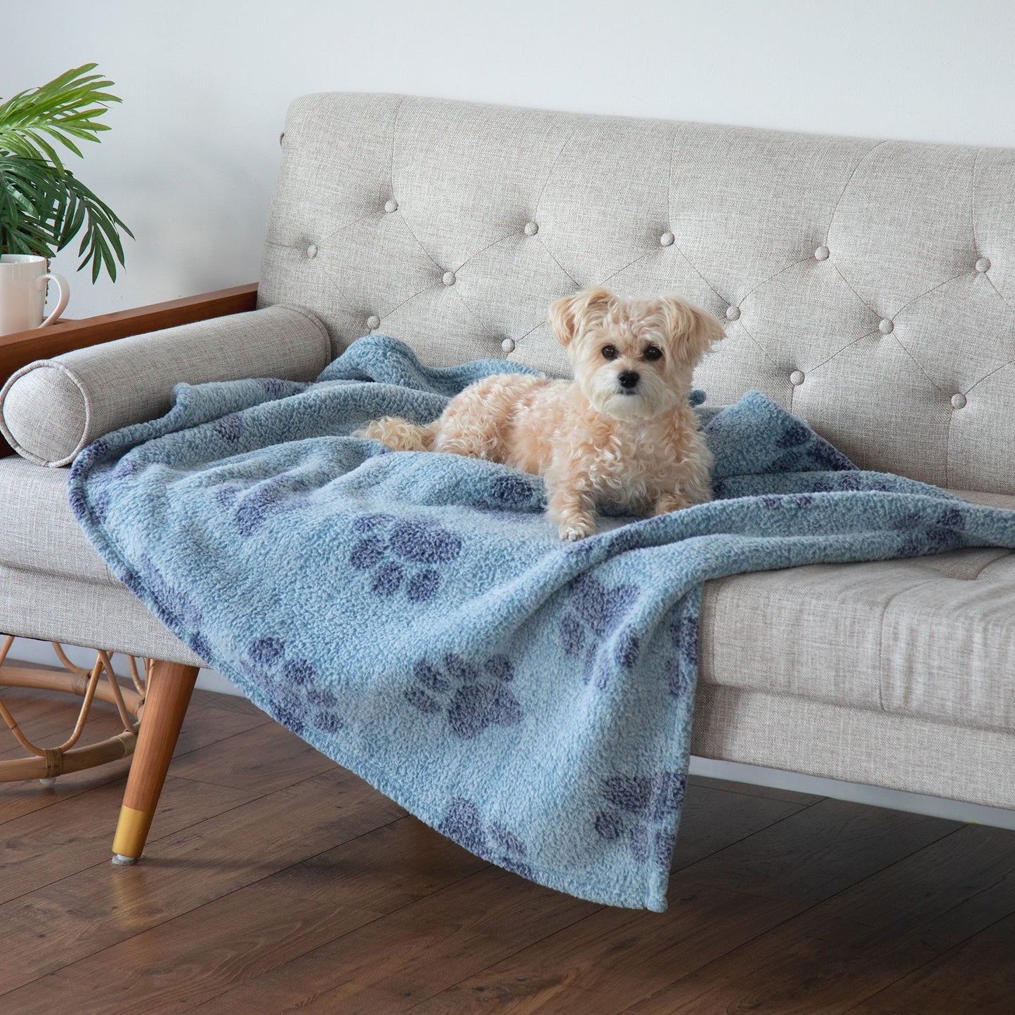 Paws I Love You Plush Sherpa Fleece Pet Blanket