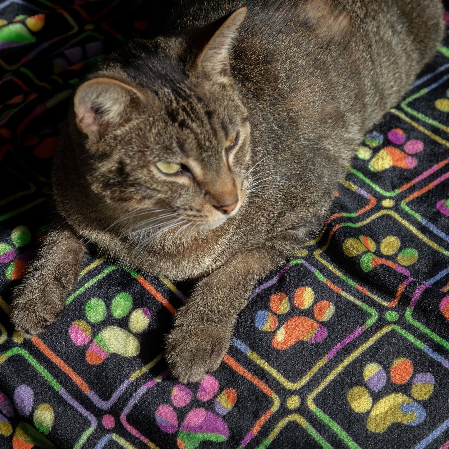 Super Cozy™ Pet Blanket