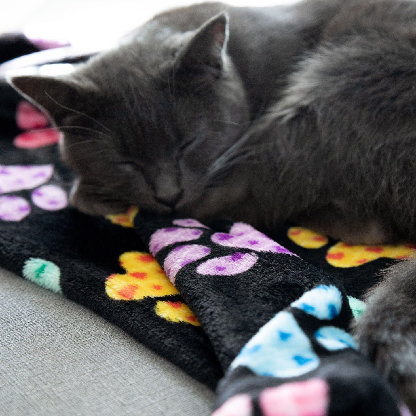 Super Cozy™ Pet Blanket
