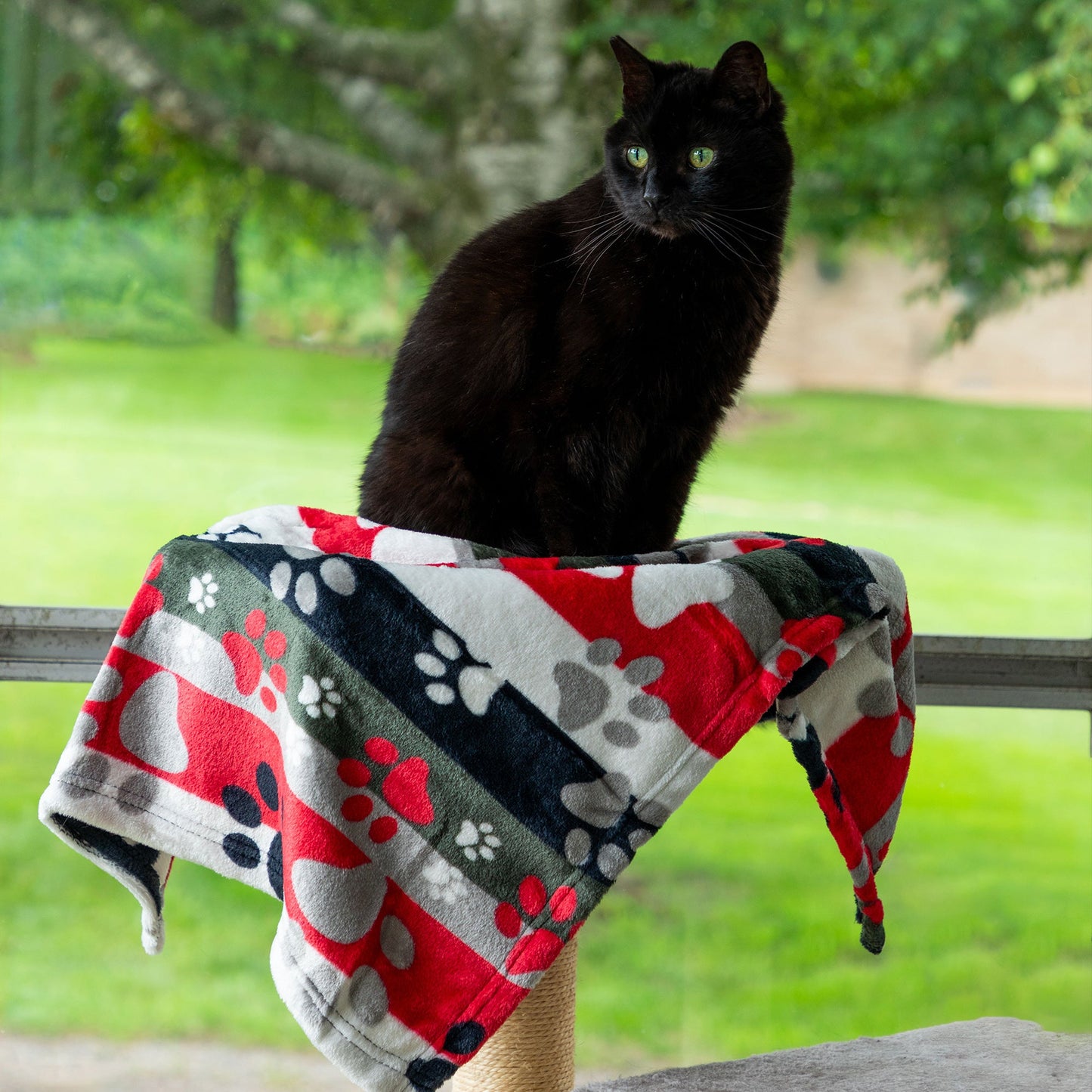 Super Cozy™ Pet Blanket