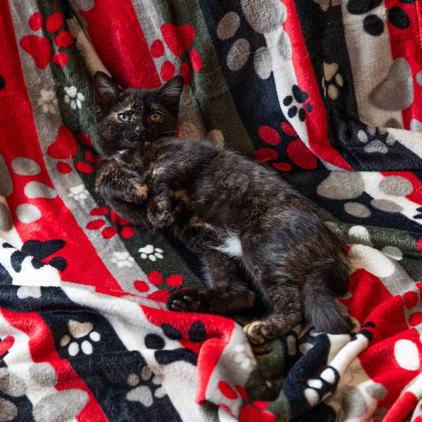 Super Cozy™ Pet Blanket