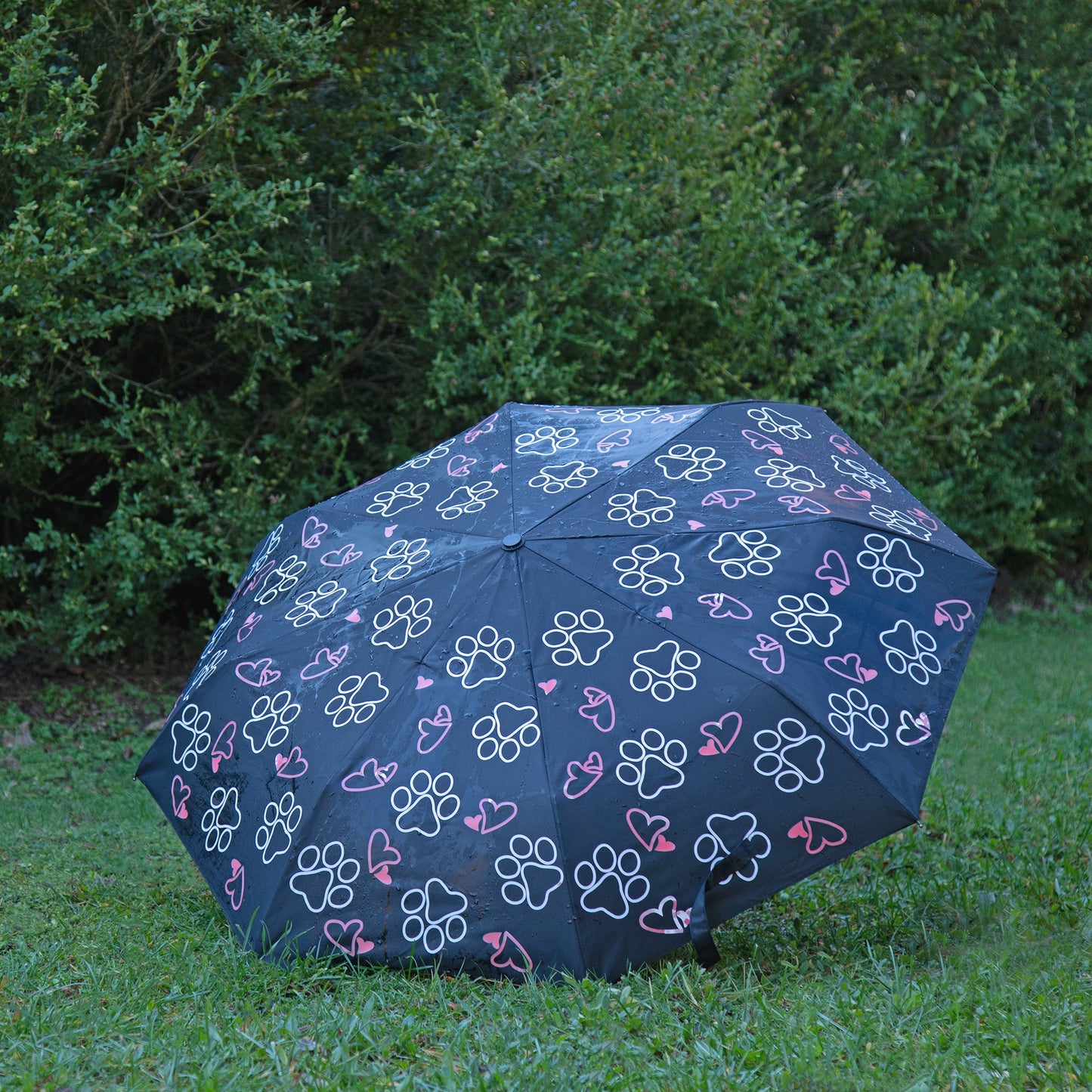 Paw Print Magic Color Changing Umbrella
