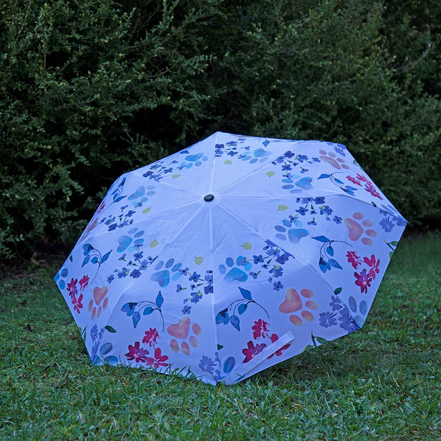 Paw Print Magic Color Changing Umbrella