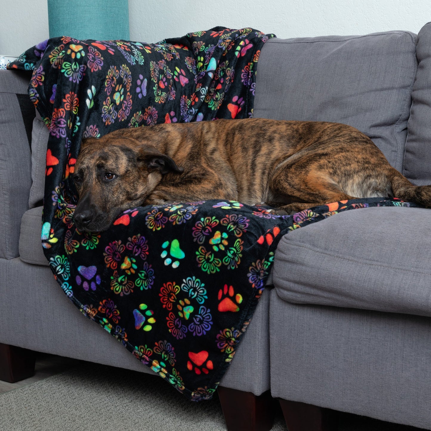 Super Cozy™ Pet Blanket
