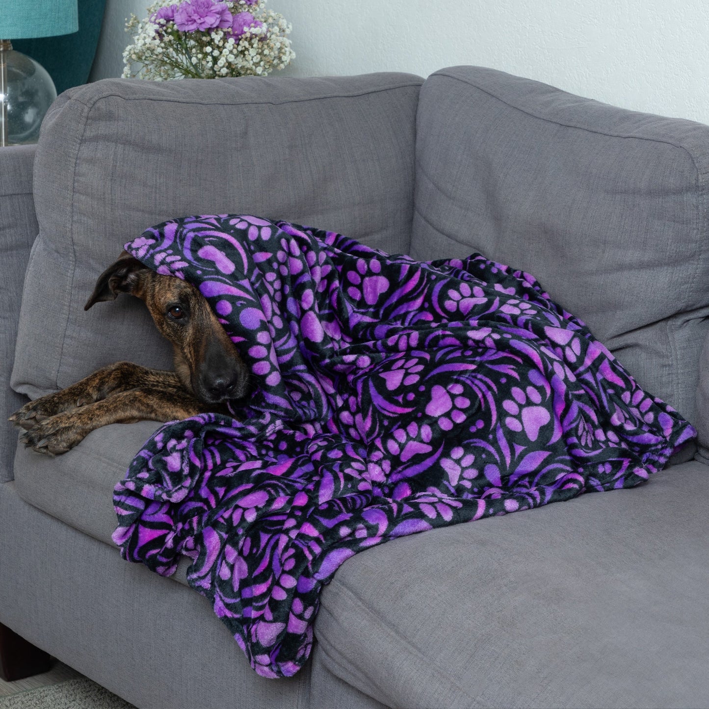 Super Cozy™ Pet Blanket