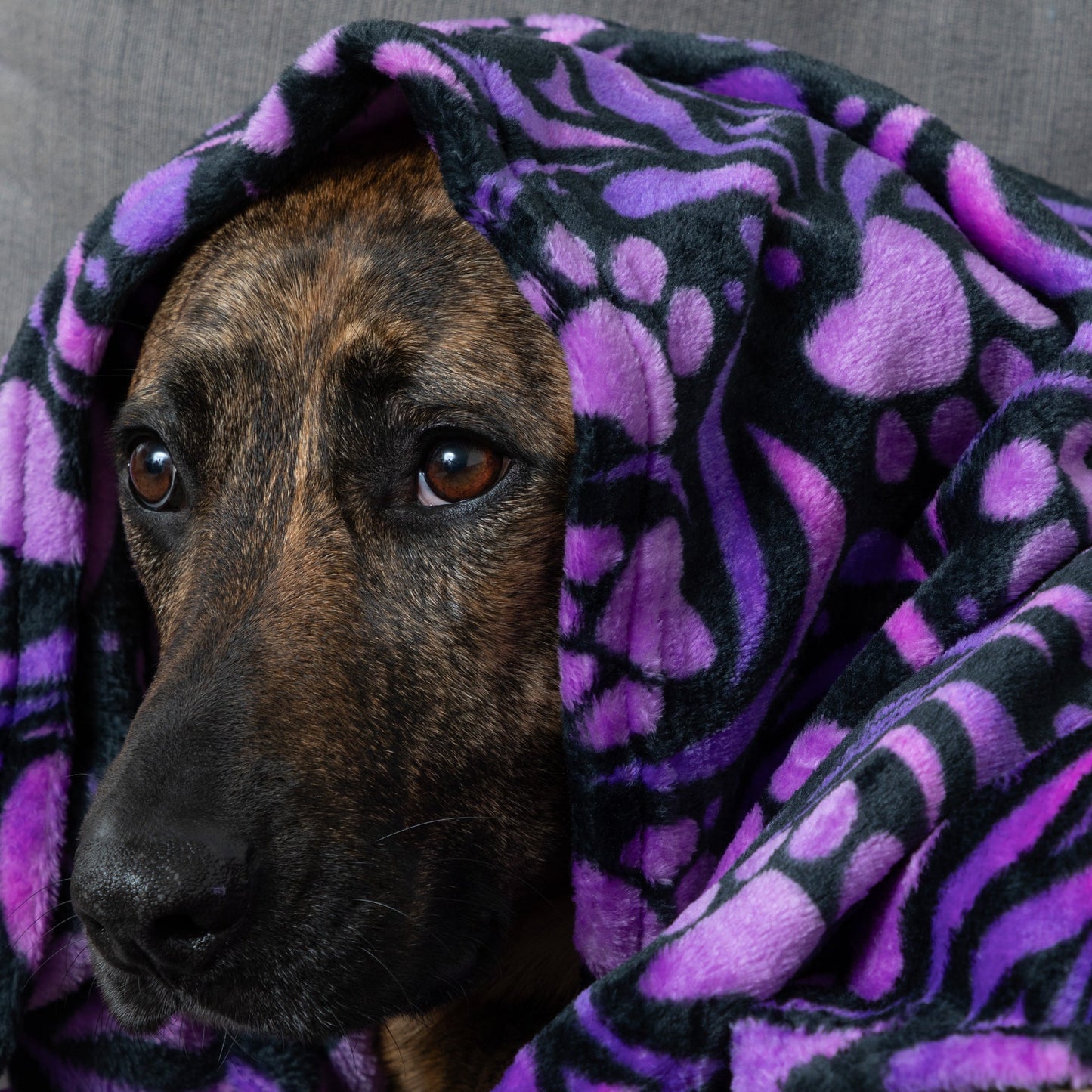 Super Cozy™ Pet Blanket