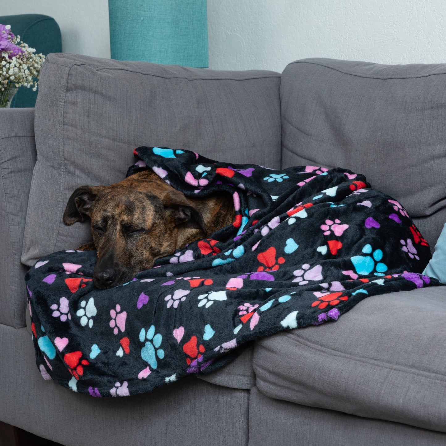 Super Cozy™ Pet Blanket