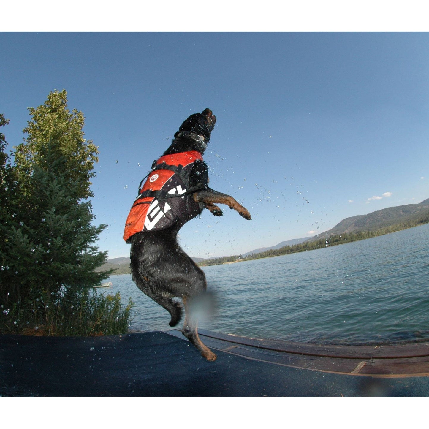 EzyDog® Doggie Floatation Device