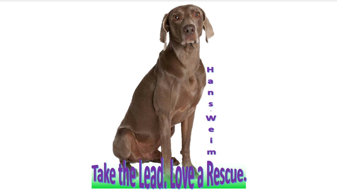 Greener Days Ahead Rescue in Mount Vernon , AR | Clear The Shelters image