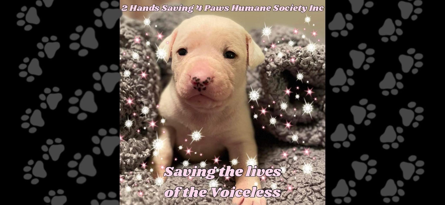 2 Hands Saving 4 Paws Humane Society Inc in Thomson, 520 | Clear The Shelters 2022 image