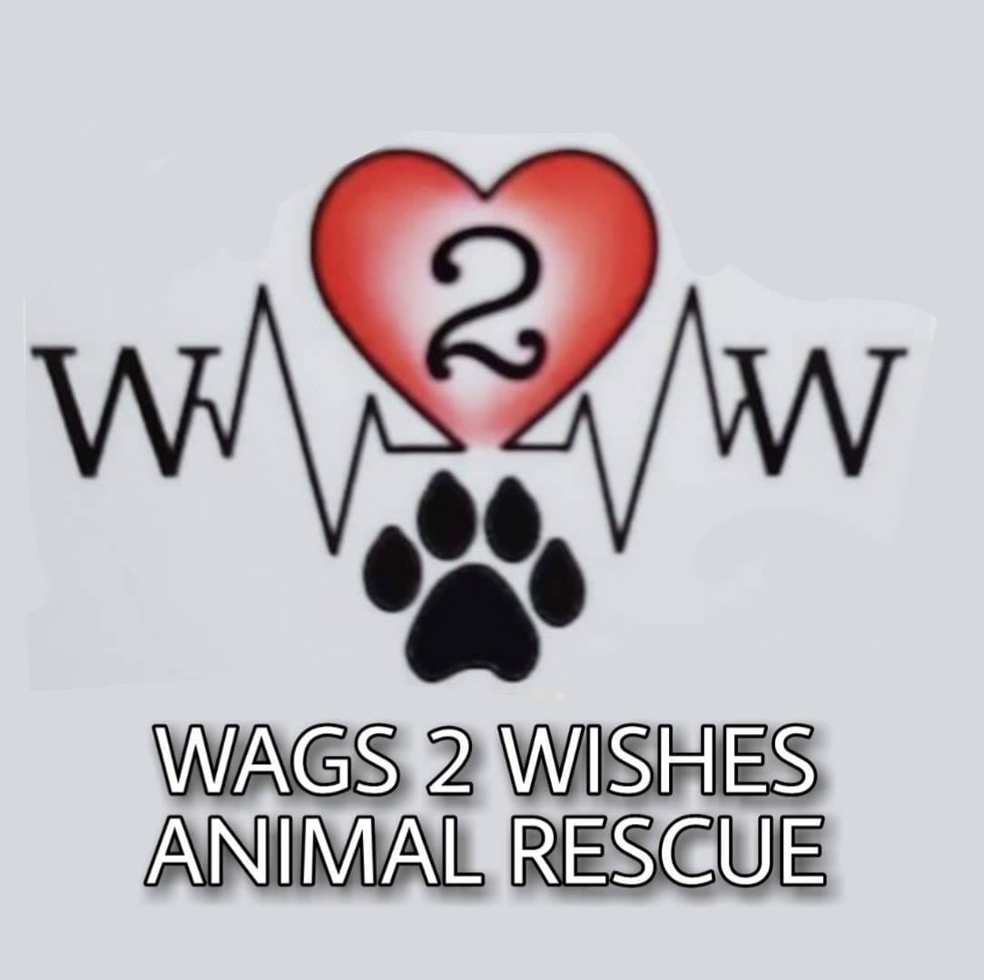 Wags 2 Wishes in Plainfield , NA | Clear The Shelters 2022 image