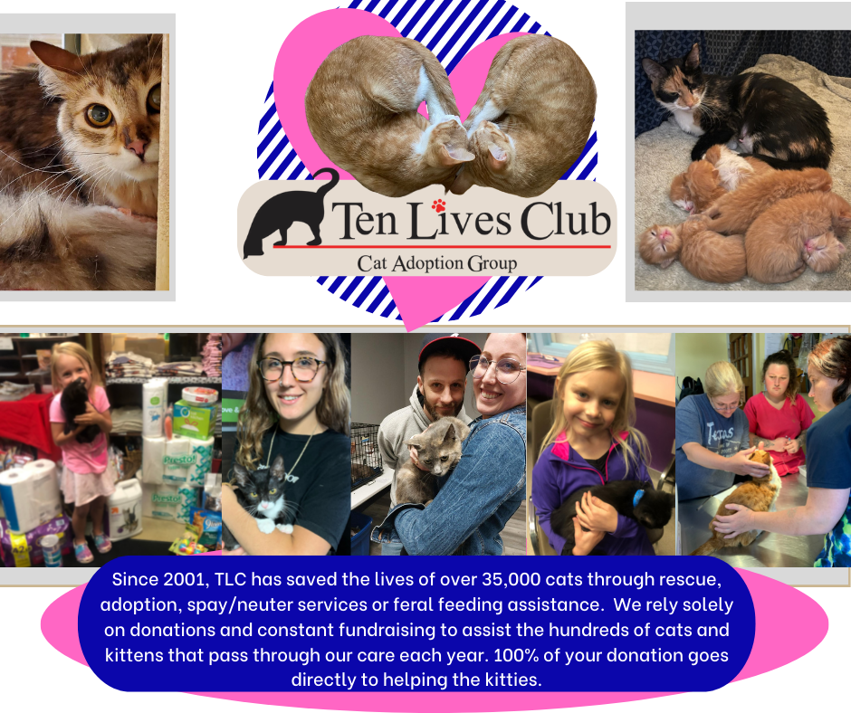 Ten Lives Club in Blasdell, 514 | Clear The Shelters 2022 image