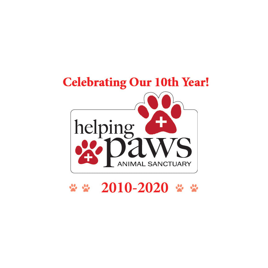 Helping Paws Animal Sanctuary in Saint James City, 571 | Clear The Shelters 2022 image