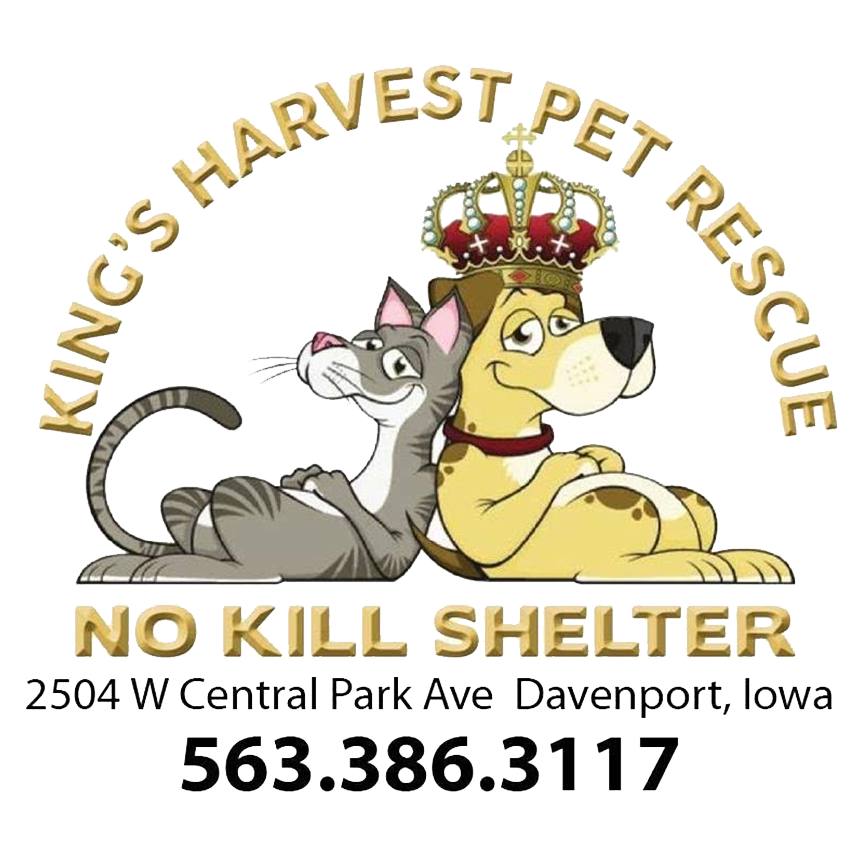 Kings Harvest Pet Rescue in Davenport , 682 | Clear The Shelters 2022 image