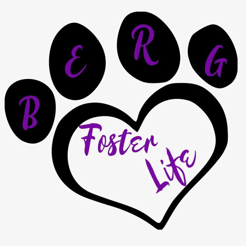 Berg Foster Life in Katy, 618 | Clear The Shelters 2022 image