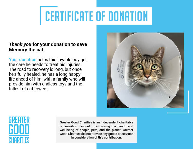 Give Mercury the Chance to Walk Again - $5 Level