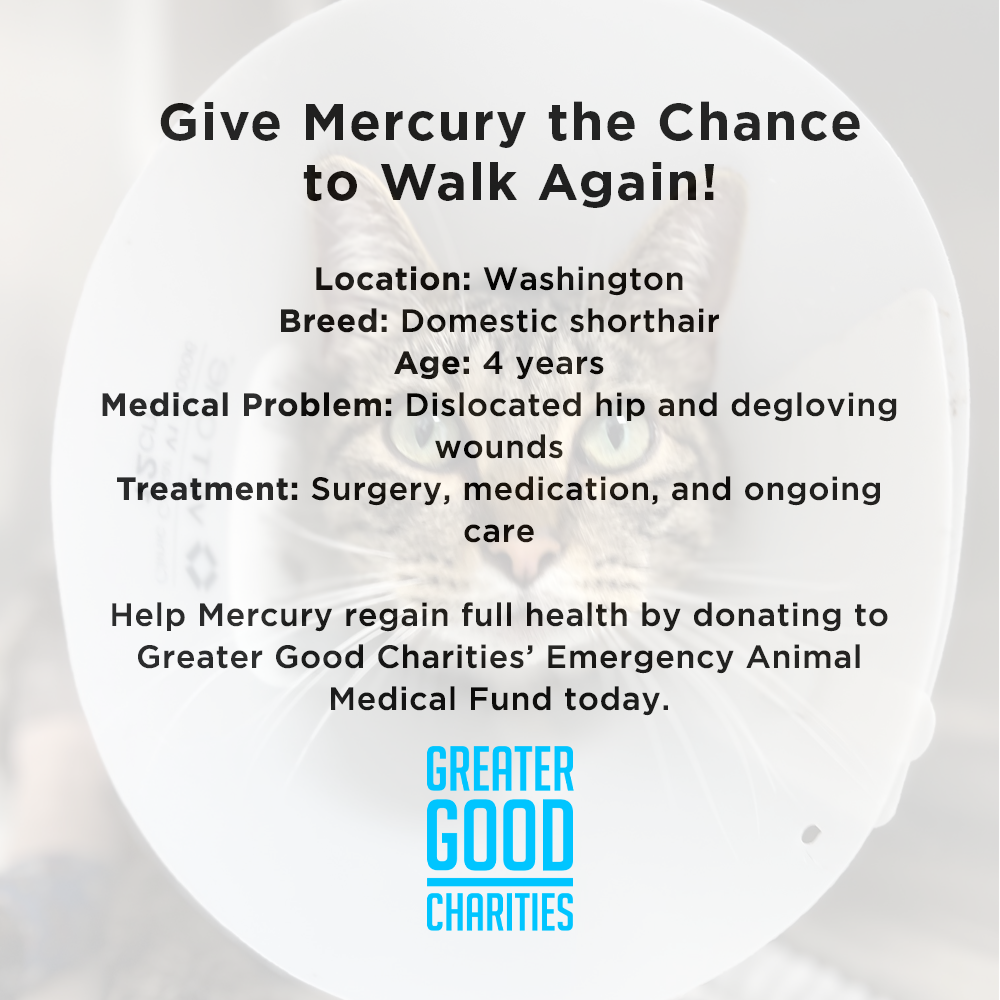 Give Mercury the Chance to Walk Again - $5 Level