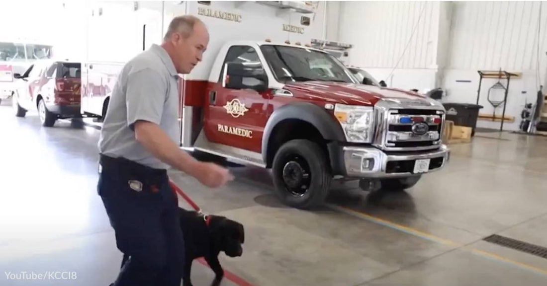 Des Moines Fire Department Gets Expert Canine to Sniff Out Arson