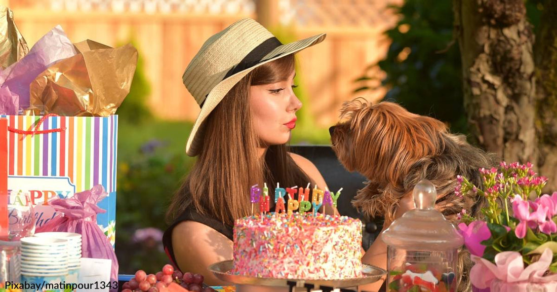 Not Sure When Your Rescue Pet's Birthday Is? Celebrate their Adoption Day!