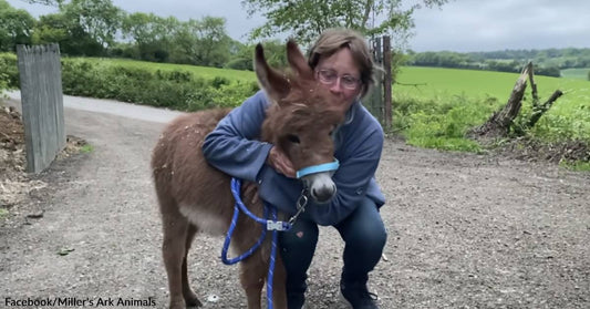 Baby "Moon" Has Been Found Alive &amp; Returned to Her Frantic Mother!