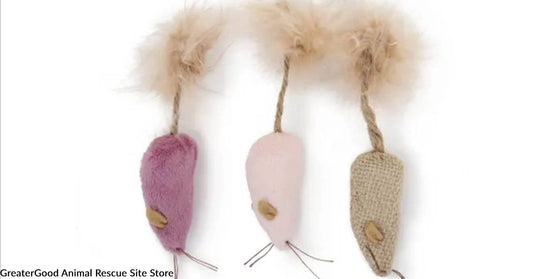 3 Fun Catnip Toys for Your Favorite Feline Valentine