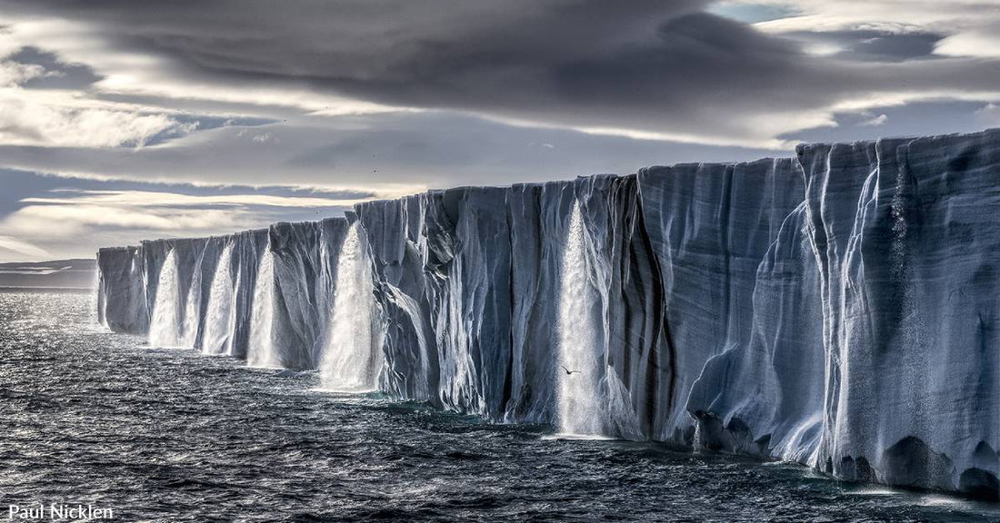 Exhibit for Two of the World's Foremost Conservation Champs &amp; Nature Photogs Extended to July 30