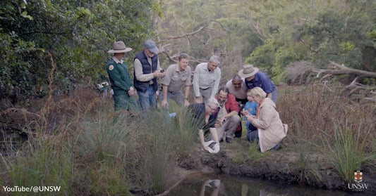 Second Oldest Park in the World Reintroduces Platypuses After a 50-Year Absence